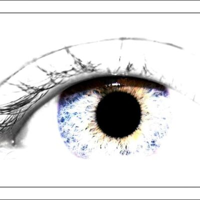 Salon optyka Best Vision: wieloaspektowa opieka nad narządem wzroku